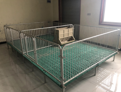 母豬定位欄的隔板和后門(mén)有什么作用？