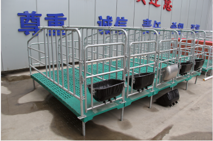 使用母豬定位欄養(yǎng)豬有哪些好處？